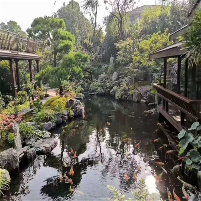 东莞假山植物小鱼池